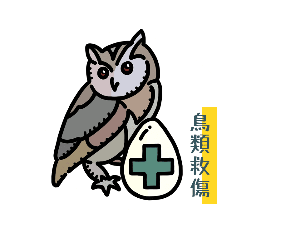 鳥類救傷